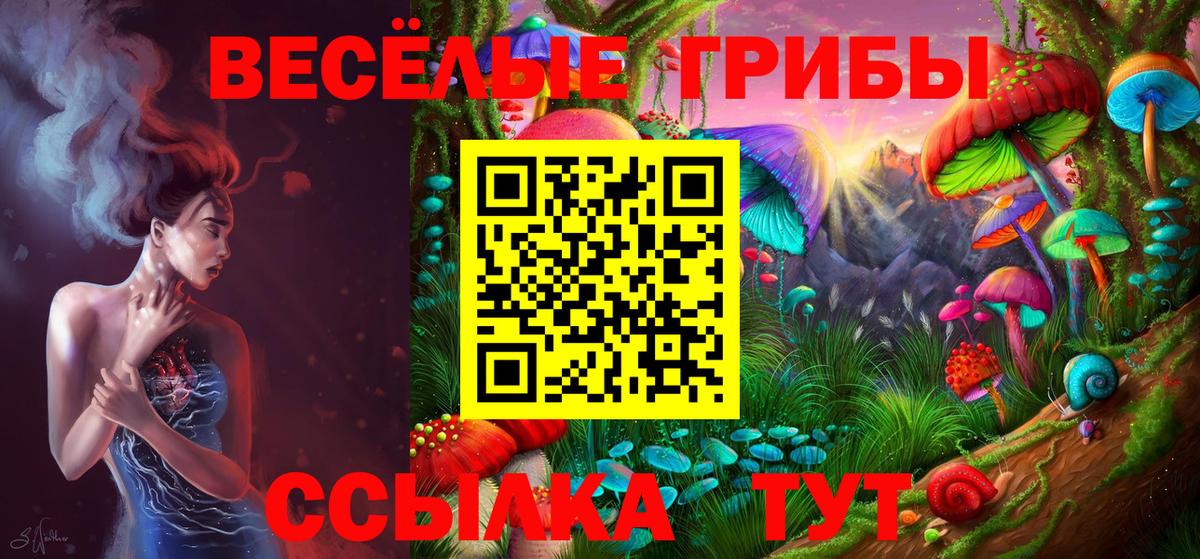 Балашиха  Псилоцибиновые грибы мицелий  Вход с VPN  Псилоцибиновые грибы Psilocybe 