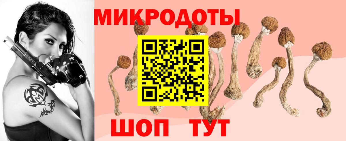 Псилоцибиновые грибы мухоморы Балашиха